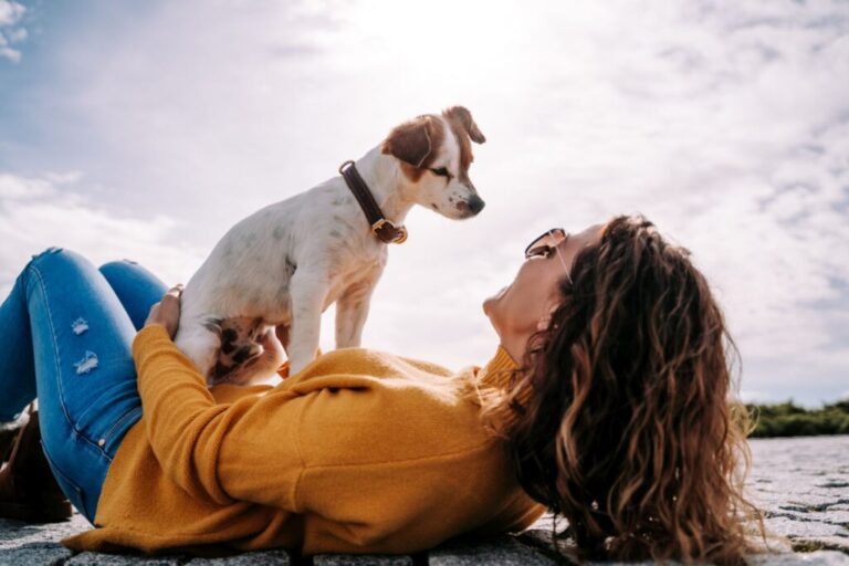 cão com patas dianteiras em cima da dona