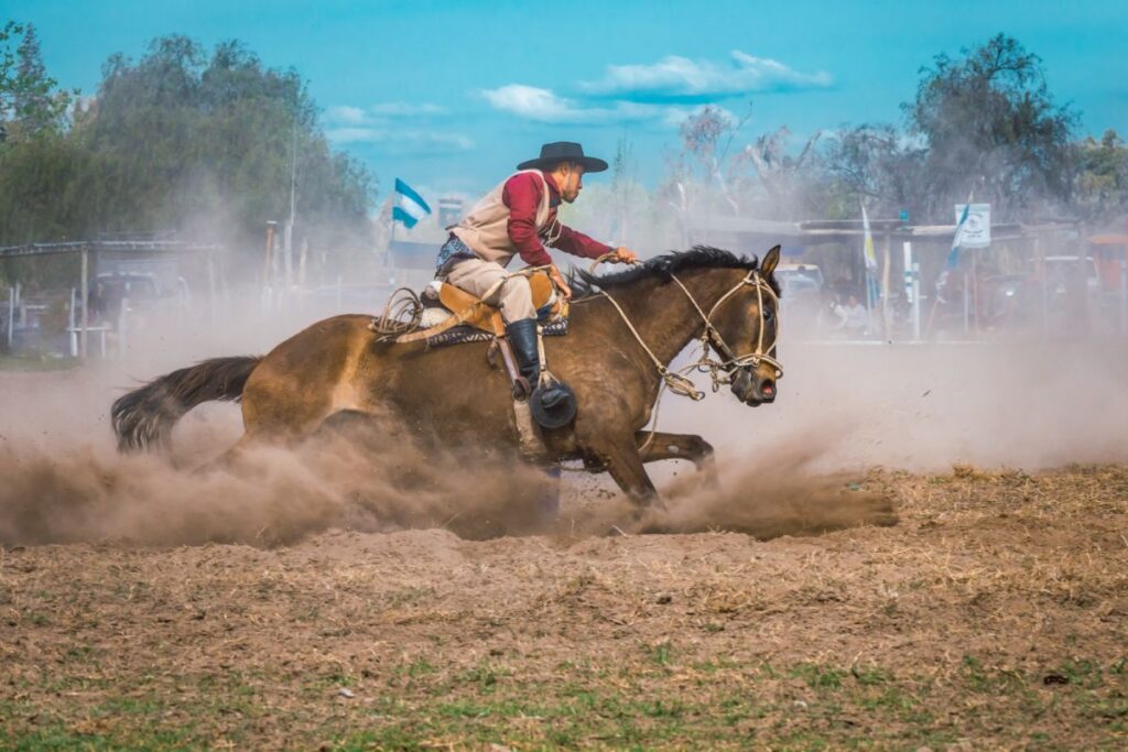 cavalo crioulo montado por gaúcho