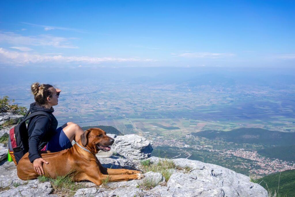 cão leão da rodésia numa montanha com mulher